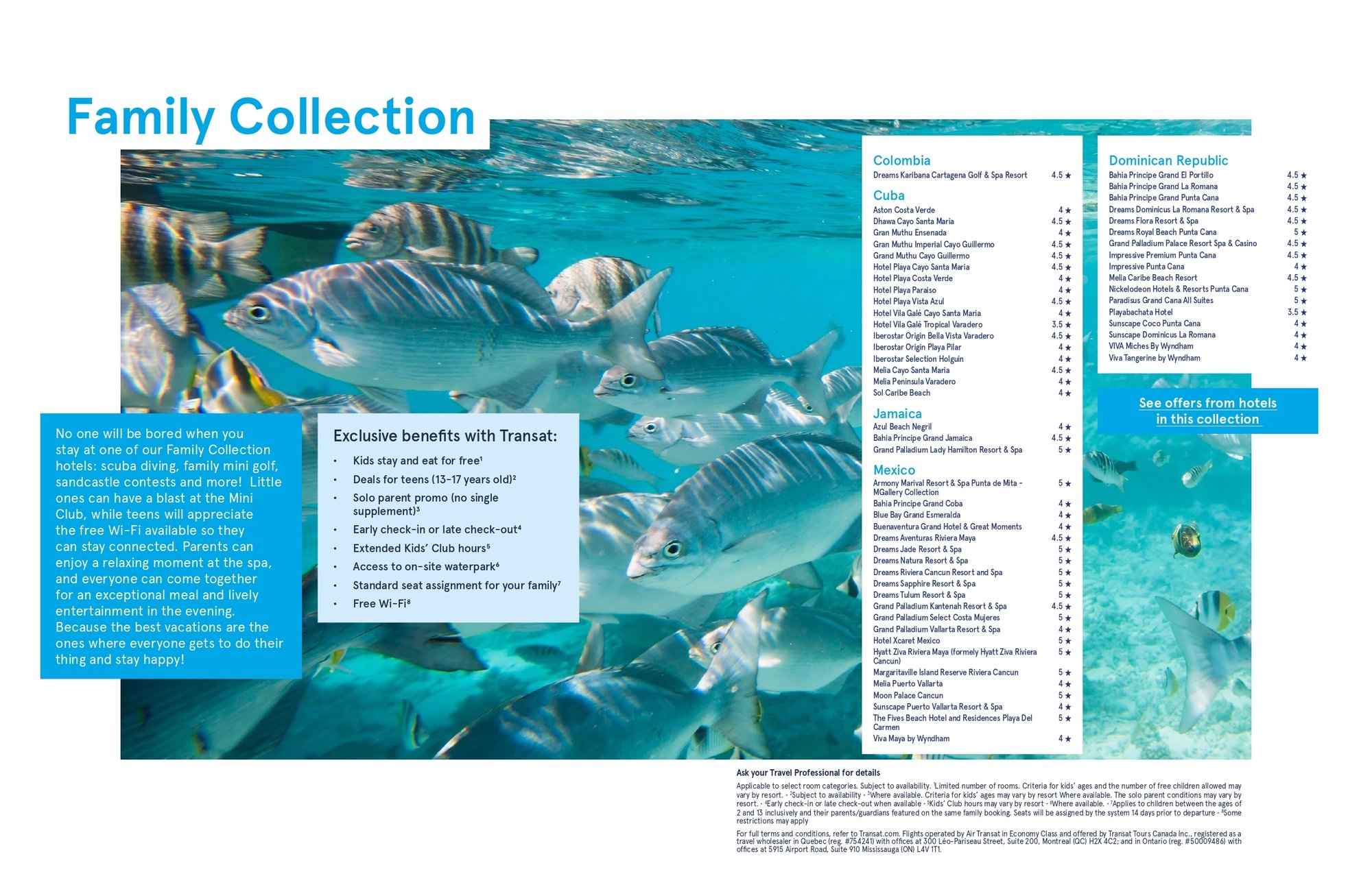 COVER-COM-PROMO-COLL2526-ITC-FLYER-STATIC-FAMILLE-2508-EN_page-0002